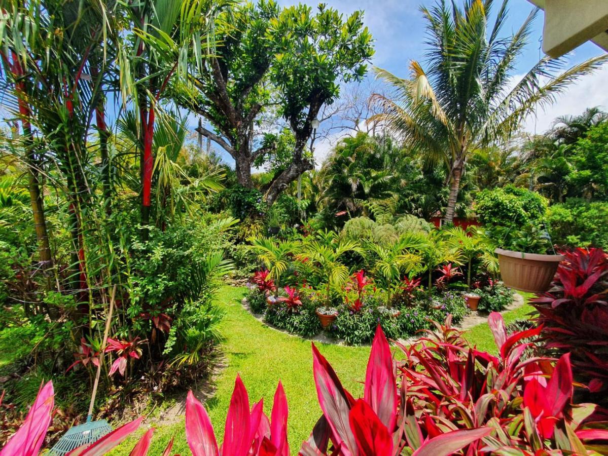 维拉维多利亚山林小屋 El Valle de Anton 外观 照片