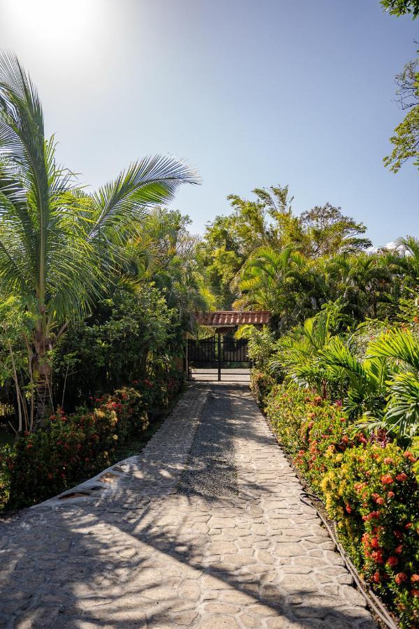 维拉维多利亚山林小屋 El Valle de Anton 外观 照片
