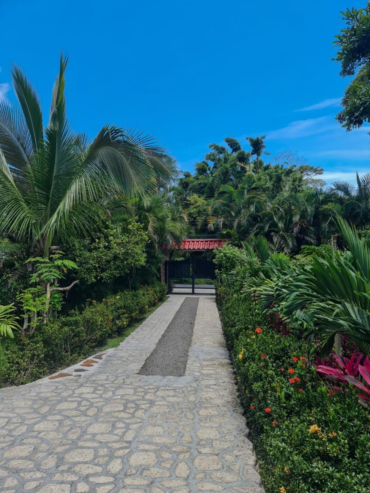 维拉维多利亚山林小屋 El Valle de Anton 客房 照片