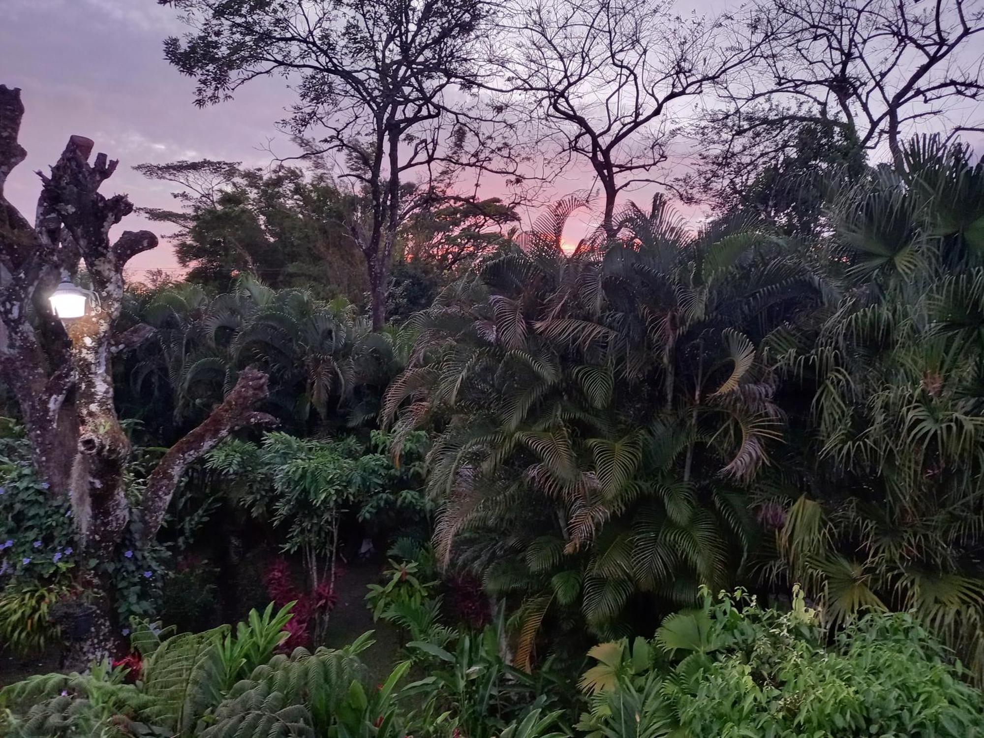 维拉维多利亚山林小屋 El Valle de Anton 客房 照片